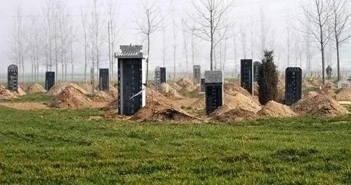 杨幂的胸为什么变大了（揭露娱乐圈美胸潜规则）