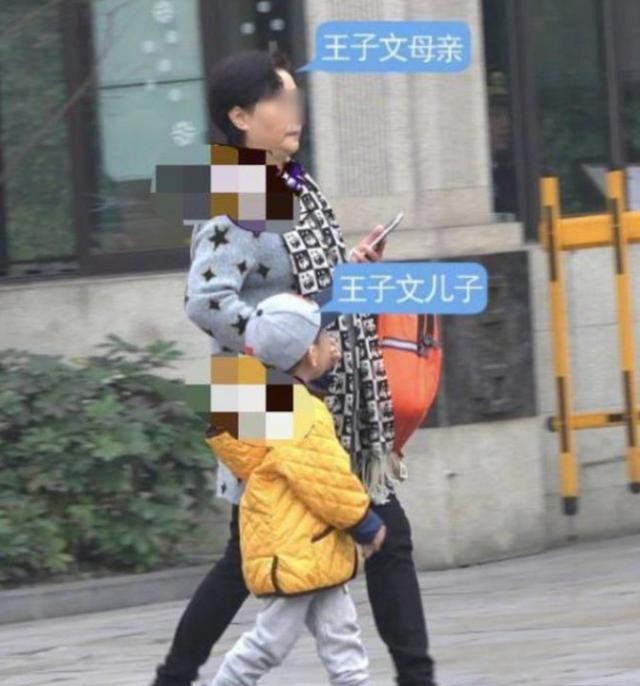 王子文儿子多大了（王子文坦诚儿子8岁生父成谜）
