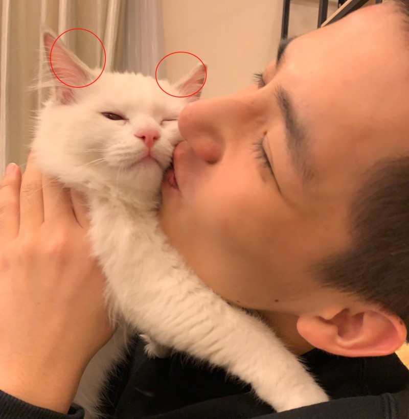 王安宇和向涵之分手了的图片（22岁鲜肉男星恋情曝光）