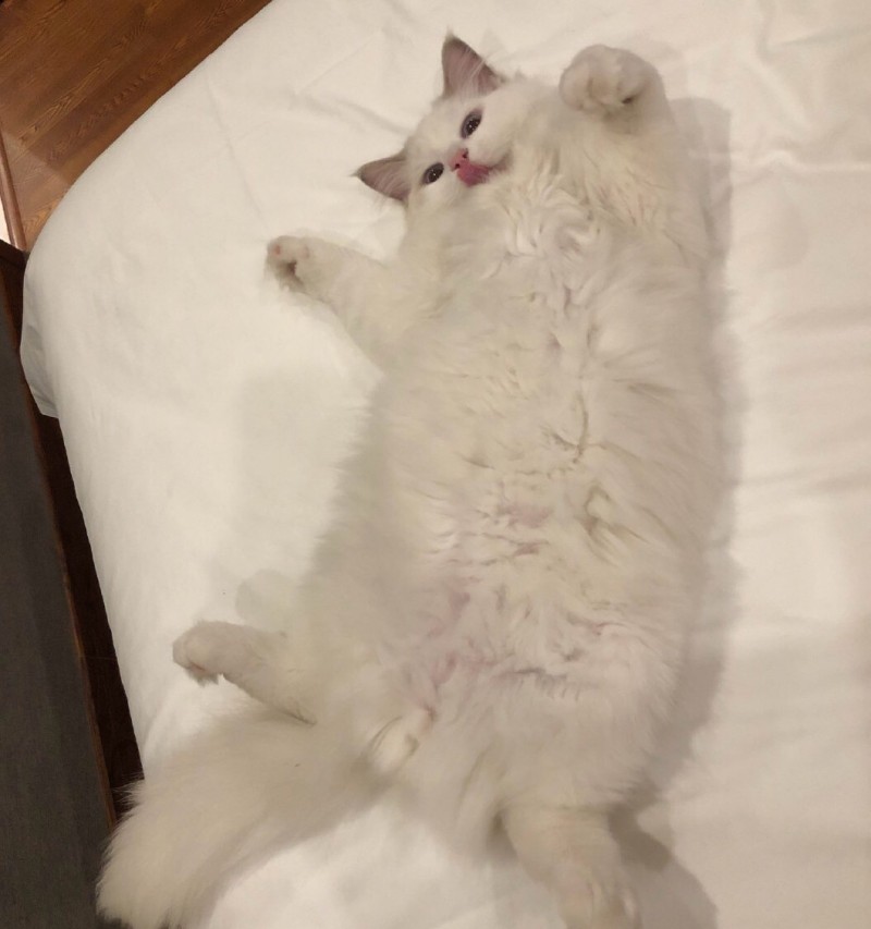 王安宇和向涵之分手了的图片（22岁鲜肉男星恋情曝光）