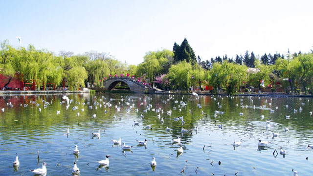 国内避暑城市有哪些 国内五大避暑城市名单