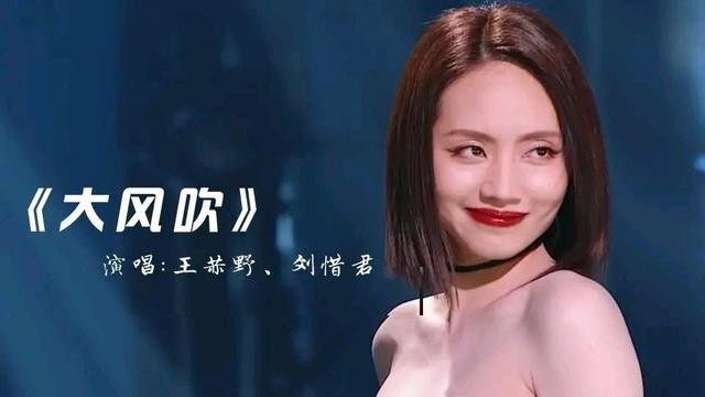 张含韵超级女声排名（“超女”第一二三四梯队都有哪些代表）