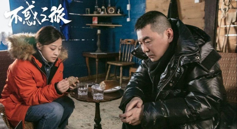 梅婷主演的电视剧（梅婷一路走来靠的就不是颜值）