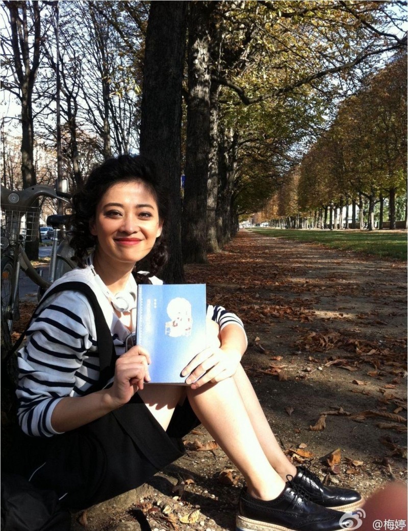 梅婷主演的电视剧（梅婷一路走来靠的就不是颜值）