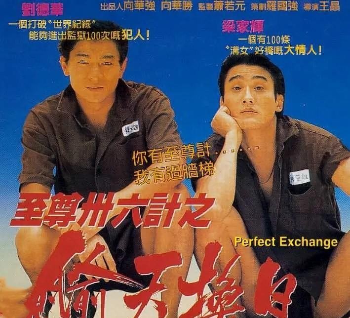 钟丽缇电影作品（钟丽缇出演的角色性感又漂亮）