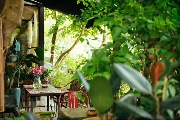 深圳的旅游景点排行榜（深圳最好玩的景点推荐）(10)