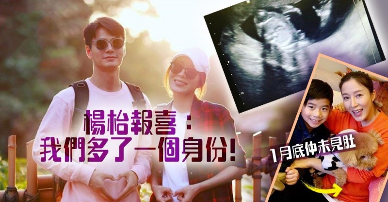 杨怡车震门事件怎么回事（龙套女王杨怡曾罗仲谦身陷车震门）