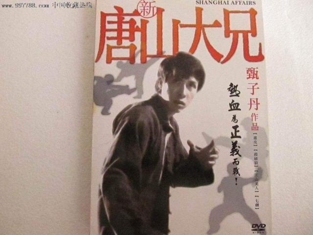 甄子丹演过的电影有哪些（盘点甄子丹最好看的电影）(3)