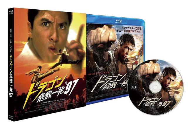 甄子丹演过的电影有哪些（盘点甄子丹最好看的电影）(8)