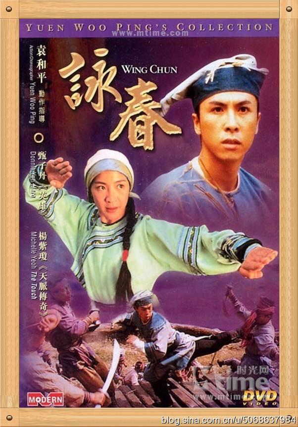 甄子丹演过的电影有哪些（盘点甄子丹最好看的电影）(2)