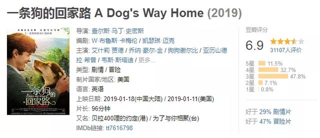 有关狗的电影好看的有哪些（推荐10部关于狗狗的电影）(4)