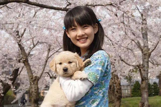 有关狗的电影好看的有哪些（推荐10部关于狗狗的电影）(6)