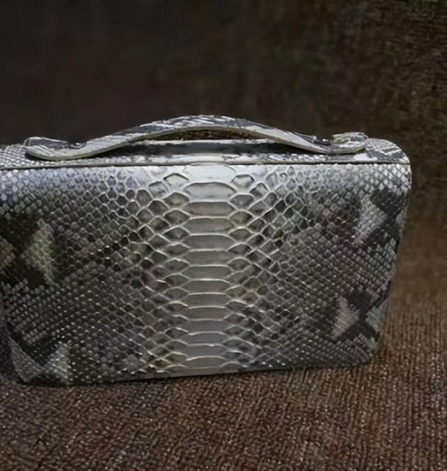 神秘巨蛇现身马来西亚（马来西亚发现16.7米巨蟒）