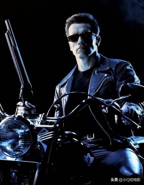 施瓦辛格电影有哪些(施瓦辛格票房最高的10部电影)插图9