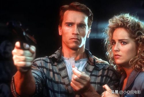 施瓦辛格电影有哪些(施瓦辛格票房最高的10部电影)插图5