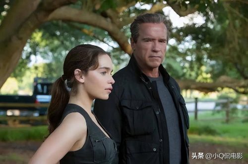 施瓦辛格电影有哪些(施瓦辛格票房最高的10部电影)插图8