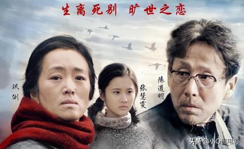 张艺谋电影作品大全(张艺谋票房最高的十部电影)插图4