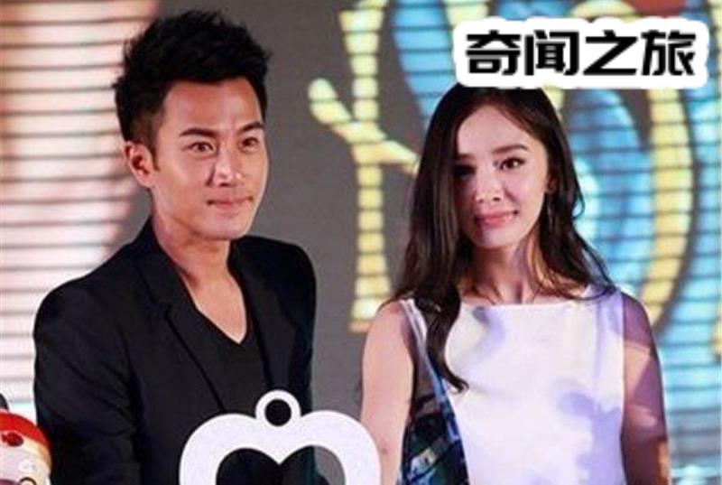 杨幂被官媒点名诈捐事件始末原因（杨幂表示承诺给盲人儿童捐款）(7)_