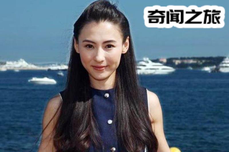 张柏芝何孟怀要结婚是真的吗（他不就为了名气么）(4)_