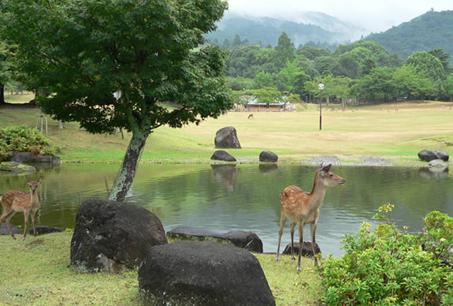 2022日本最著名旅游景点排名前十名