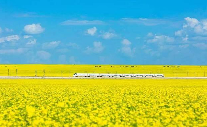 青海湖旅游攻略