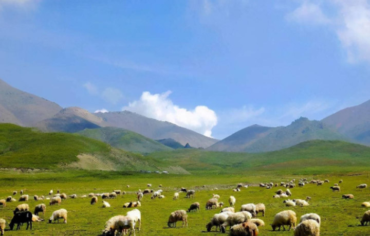 青海湖旅游攻略