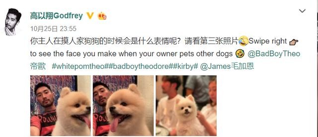 高以翔怎么出意外的（高以翔之死的幕后）