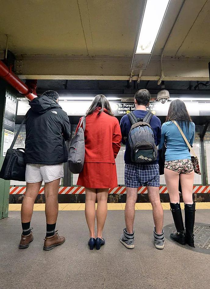 关于荷兰的资料 (关于荷兰的资料和图片)-图12