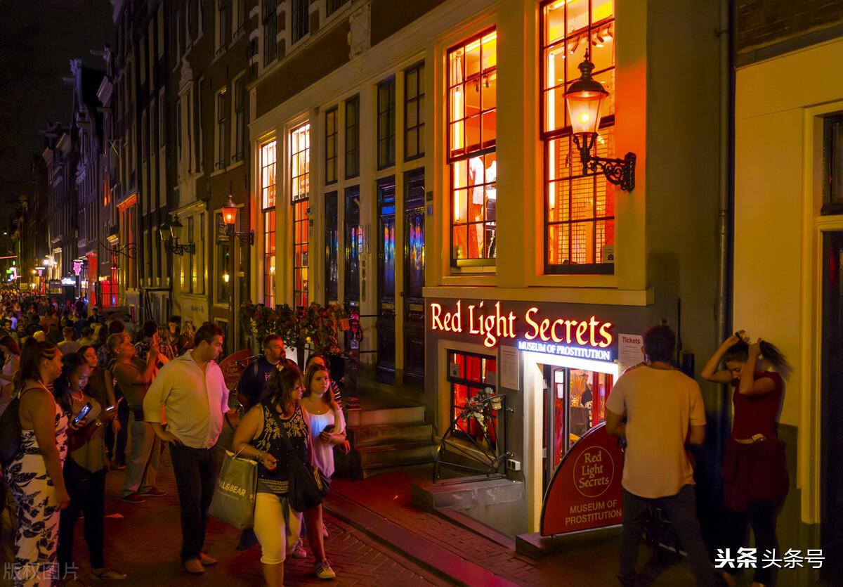 关于荷兰的资料 (关于荷兰的资料和图片)-图6