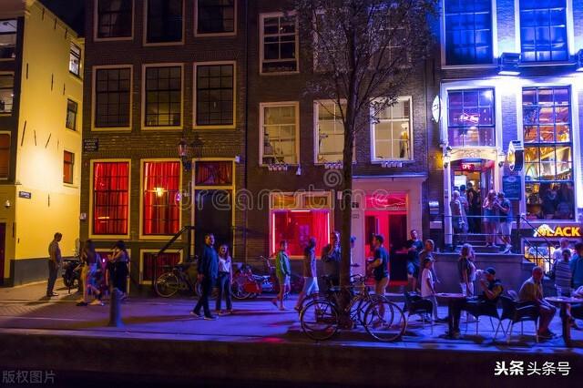 关于荷兰的资料 (关于荷兰的资料和图片)-图7