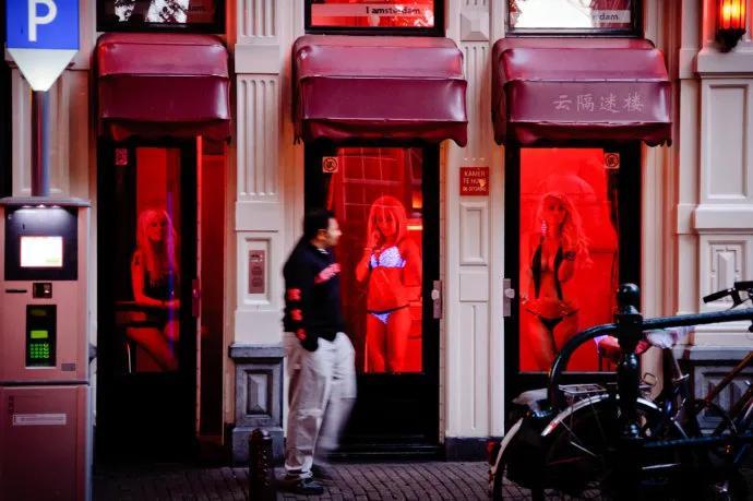 关于荷兰的资料 (关于荷兰的资料和图片)-图8