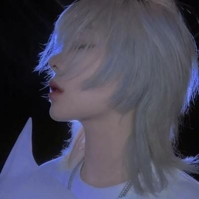 丁丁个人资料（500张丁丁照拼成总统候选人样子）