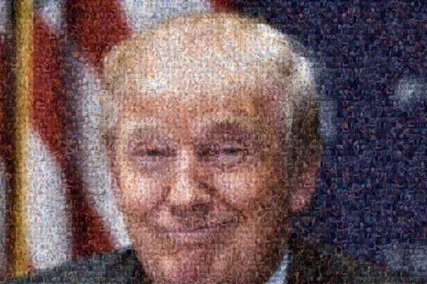 丁丁个人资料（500张丁丁照拼成总统候选人样子）