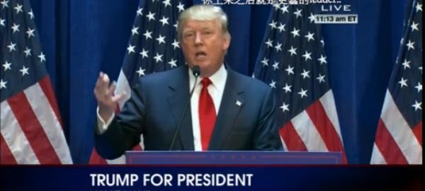 丁丁个人资料（500张丁丁照拼成总统候选人样子）