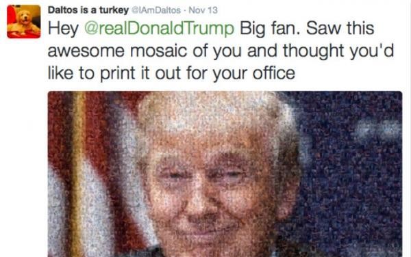 丁丁个人资料（500张丁丁照拼成总统候选人样子）