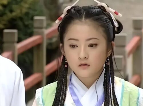 金铭简历及个人资料简介(金铭简历个人演艺经历)插图