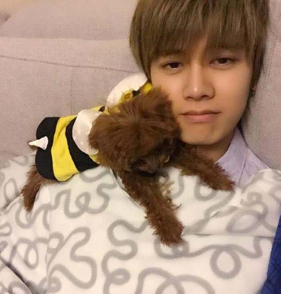 任嘉伦一家三口住在哪里（看看任“国超”的豪宅）