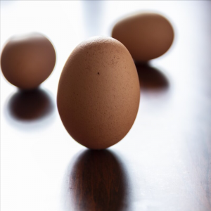 ​春分立蛋是什么原理(春分立蛋是什么原理简介)