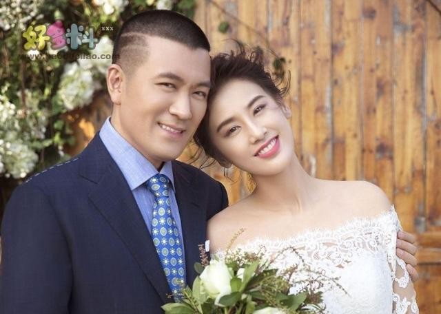 杨子个人资料简介身价（杨子为什么这么有钱）