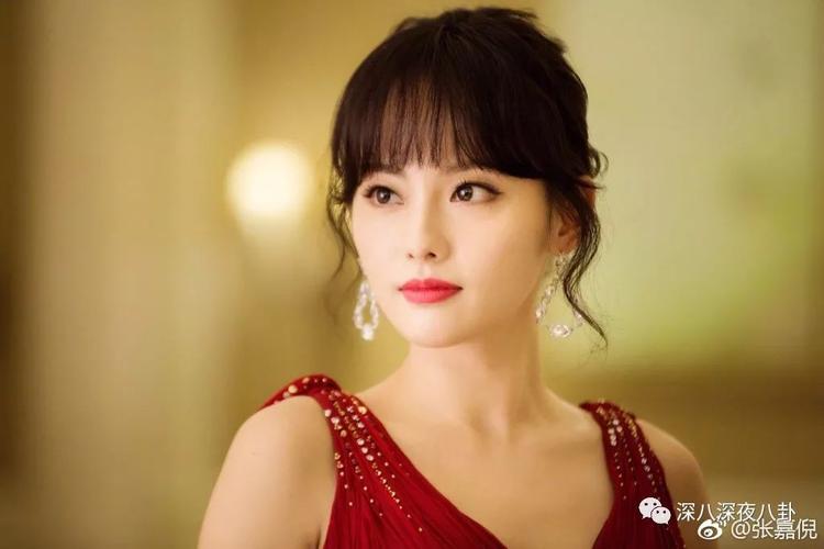 张嘉倪演过的电视剧