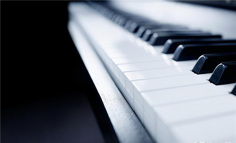 李云迪个人资料（李云迪个人资料简介）