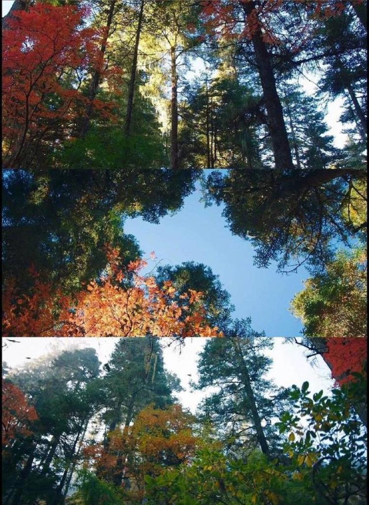 司藤电视剧在哪取的景「热播电视剧司藤为什么要在云南取景香格里拉和大理太上镜了」