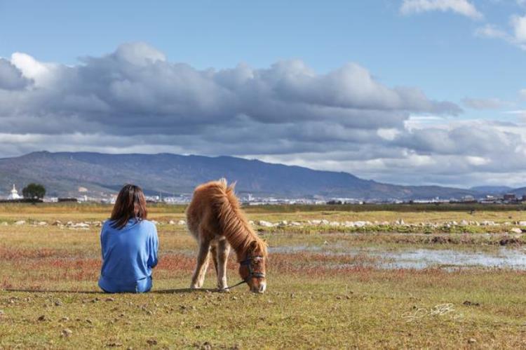 司藤电视剧在哪取的景「热播电视剧司藤为什么要在云南取景香格里拉和大理太上镜了」