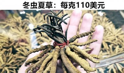 ​人死后可能会变成什么（人死后会以另一身份存在吗）