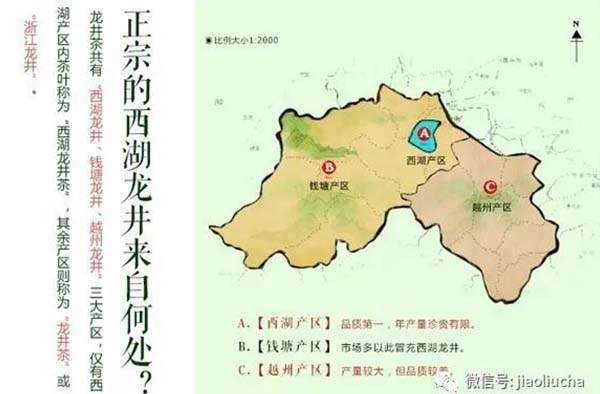 龙井茶产地在哪里（西湖龙井茶两大核心保护区）