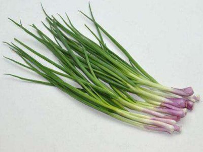 ​灯周围有好多小虫子怎么清除（解决灯下小虫子的5个小妙招）