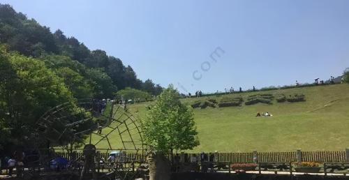 武汉有什么好玩的地方(武汉十大旅游景点)插图3