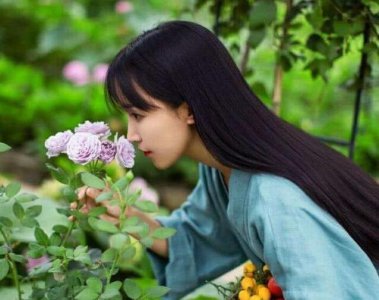 ​李子柒的视频，满足了我们对田园生活的向往