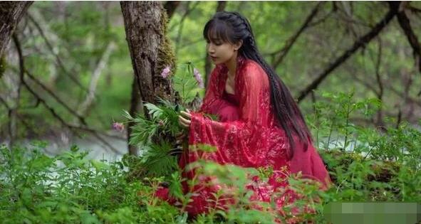 李子柒的视频，满足了我们对田园生活的向往