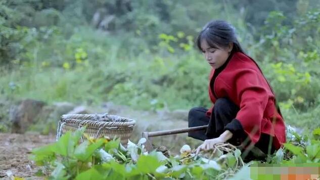 李子柒的视频，满足了我们对田园生活的向往